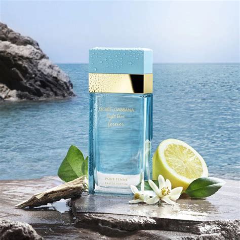 parfum dolce gabbana light blue pour femme|light blue dolce gabbana women.